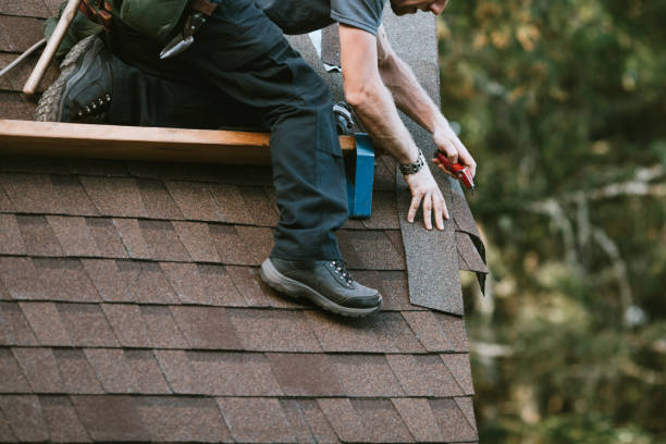 Gutter Installation and Roofing in Viera East, FL